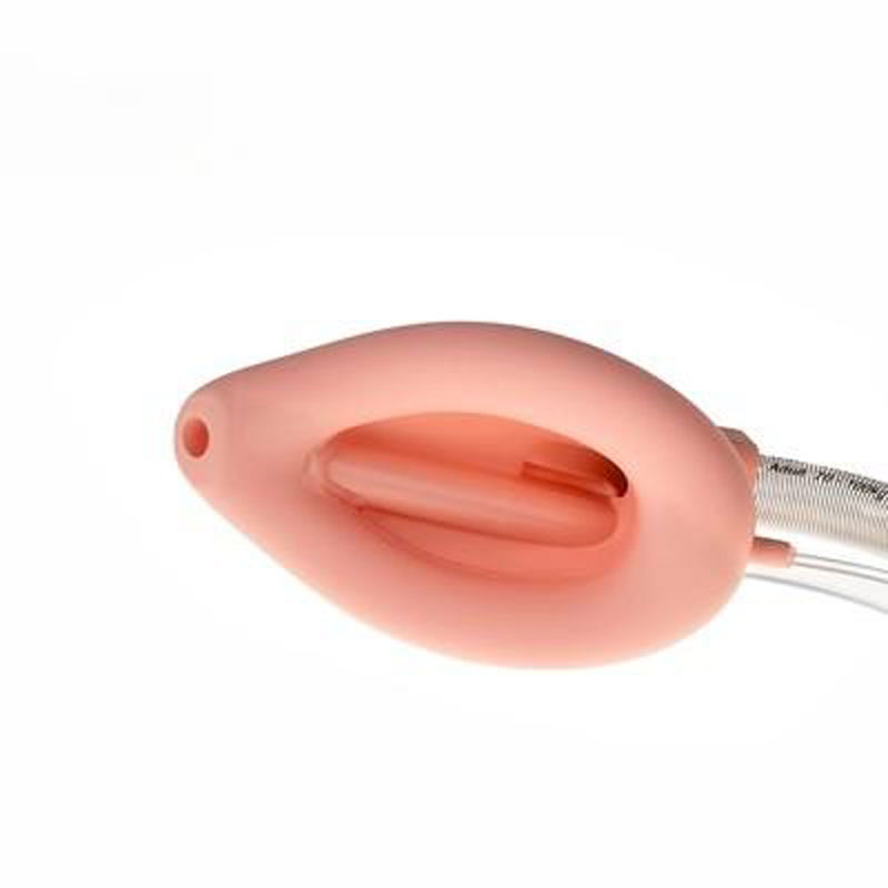 Double-Lumen Silicone Laryngeal Mask