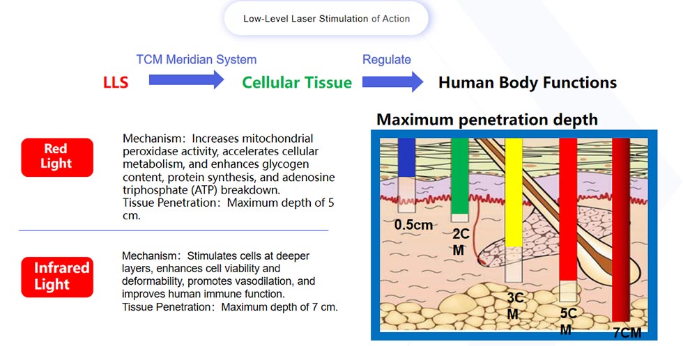 Low Level Laser Stimulation